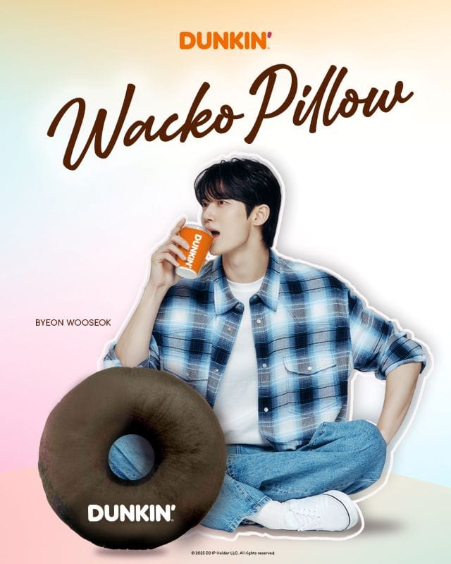 dunkin wacko doughnut pillow